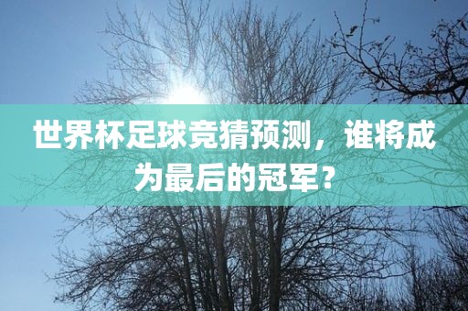 世界杯足球竞猜预测，谁将成为最后的冠军？