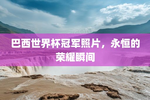 巴西世界杯冠军照片，永恒的荣耀瞬间