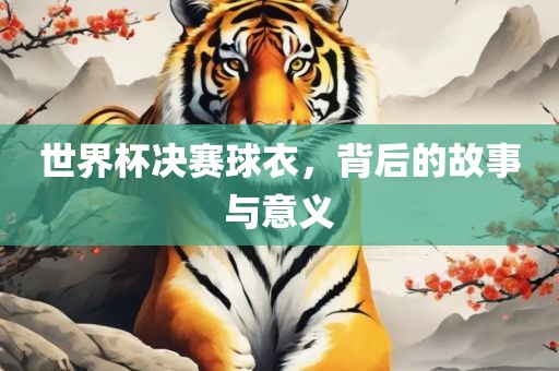 世界杯决赛球衣，背后的故事与意义