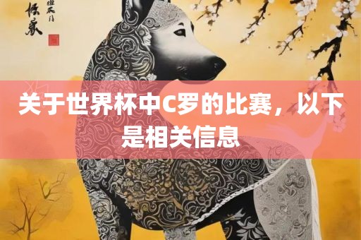 关于世界杯中C罗的比赛，以下是相关信息