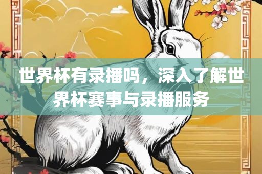 世界杯有录播吗，深入了解世界杯赛事与录播服务