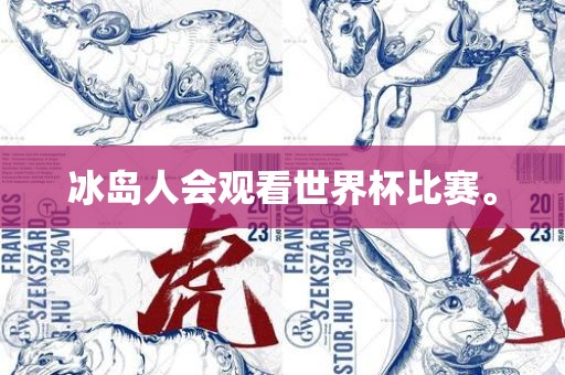 冰岛人会观看世界杯比赛。