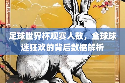 足球世界杯观赛人数，全球球迷狂欢的背后数据解析