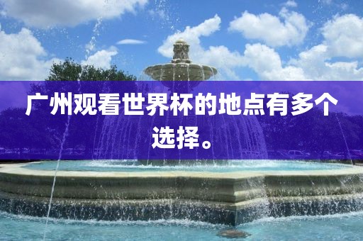 广州观看世界杯的地点有多个选择。