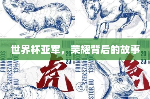 世界杯亚军，荣耀背后的故事