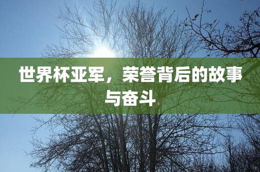 世界杯漯河市盈旭机械设备有限公司亚军，荣誉背后的故事与奋斗