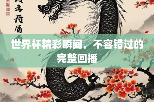 世界杯精彩瞬间，不容错过的完整回播