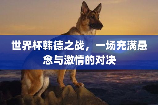 世界杯韩德之战，一场充满悬念与激情的对决