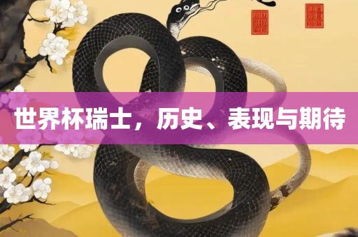 世界杯瑞士，历史、表现与期待漯河市盈旭机械设备有限公司