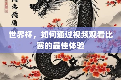 世界杯，如何通过视频观看比赛的最佳体验