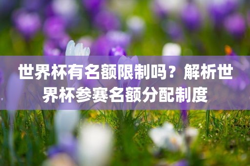 世界杯有名额限制吗？解析世界杯参赛名额分配制度