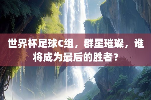 世界杯足球C组，群星璀璨，谁将成为最后的胜者？