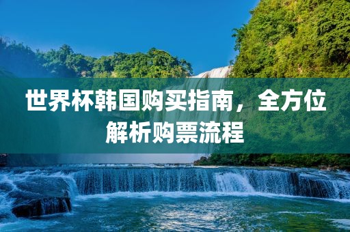 世界杯韩国购买指南，全方位解析购票流程