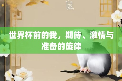 世界杯前的我，期待、激情与准备的旋律