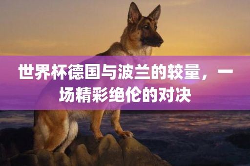 世界杯德国与波兰的较量，一场精彩绝伦的对决