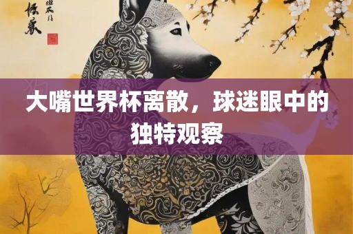 大嘴世界杯离散，球迷眼中的独特观察