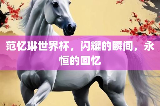 范忆琳世界杯，闪耀的瞬间，永恒的回忆