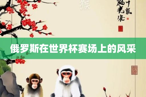 俄罗斯在世界杯赛场上的风采