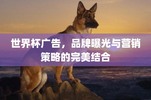 世界杯广告，品牌曝光与营销策略的完美结合