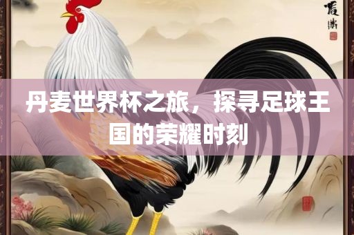 丹麦世界杯之旅，探寻足球王国的荣耀时刻漯河市盈旭机械设备有限公司