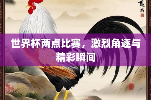 世界杯两点比赛，激烈角逐与精彩瞬间