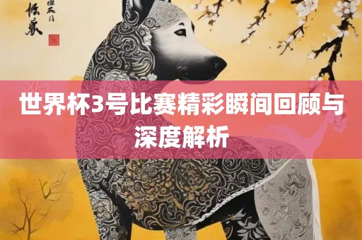 世界杯3号比赛精彩瞬间回顾与深度解析