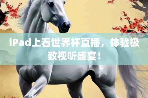 iPad上看世界杯直播，体验极致视听盛宴！