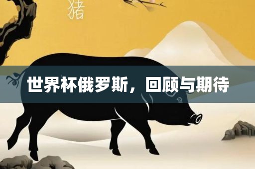 世界杯俄罗斯，回顾与期待