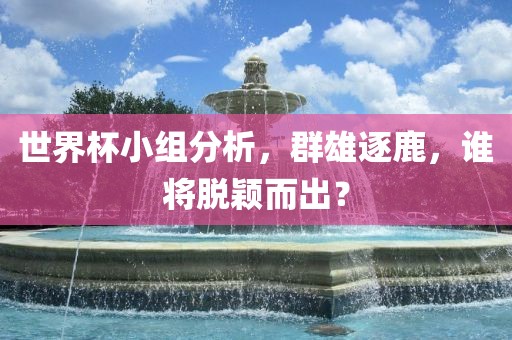 世界杯小组分析，群雄逐鹿，谁将脱颖而出？
