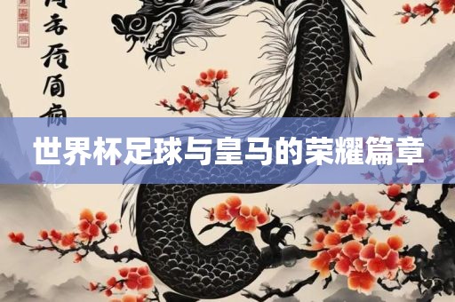 世界杯足球与皇马的荣耀篇章