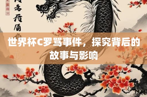世界杯C罗骂事件，探究背后的故事与影响