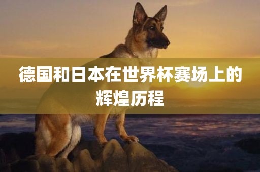 德国和日本在世界杯赛场上的辉煌历程