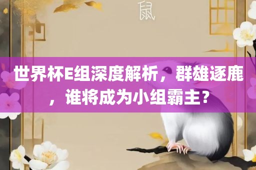世界杯E组深度解析，群雄逐鹿，谁将成为小组霸主？