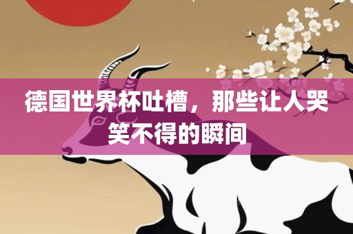 德国世界杯吐槽，那些让人哭笑不得的瞬间