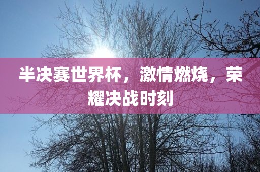 半决赛世界杯，激情燃烧，荣耀决战时刻