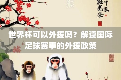 世界杯可以外援吗？解读国际足球赛事的外援政策