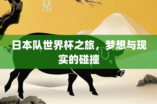 日本队世界杯之旅，梦想与现实的碰撞