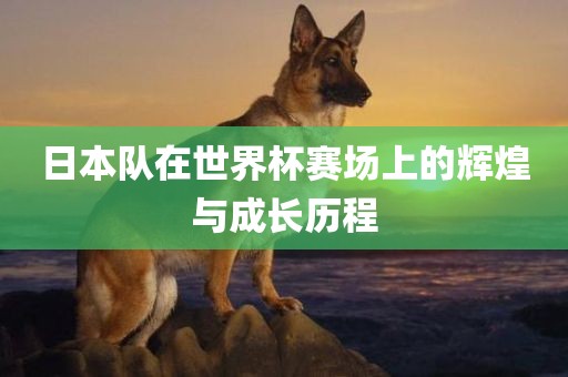 susihan 第12页