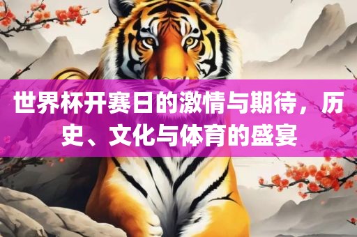 世界杯开赛日的激情与期待，历史、文化与体育的盛宴