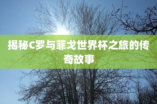 揭秘C罗与菲戈世界杯之旅的传奇故事