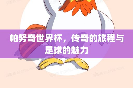 帕努奇世界杯，传奇的旅程与足球的魅力