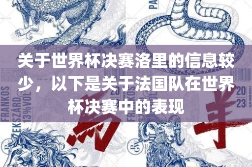关于世界杯决赛洛里的信息较少，以下是关于法国队在世界杯决赛中的表现