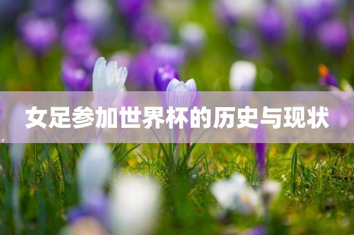 女足参加世界杯的历史与现状