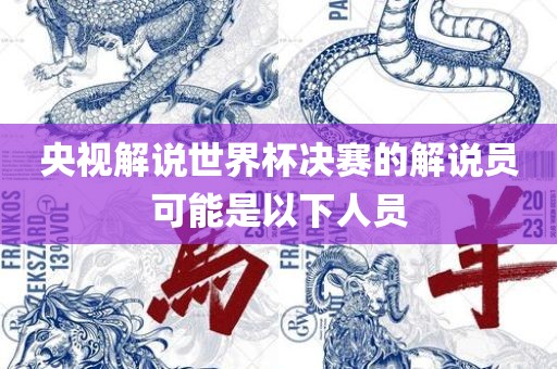 央视解说世界杯决赛的解说员可能是以下人员