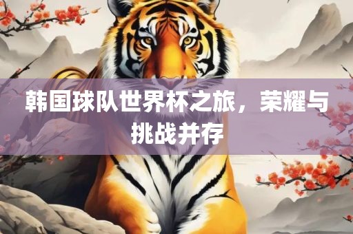 韩国球队世界杯之旅，荣耀与挑战并存