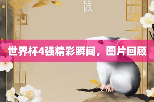 世界杯4强精彩瞬间，图片回顾