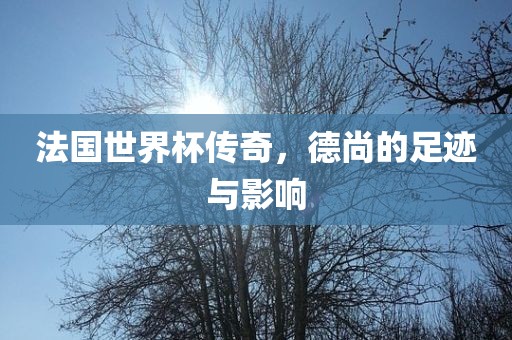 法国世界杯传奇，德尚的足迹与影响
