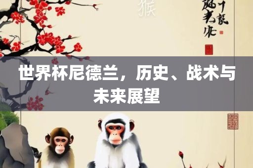 世界杯尼德兰，历史、战术与未来展望