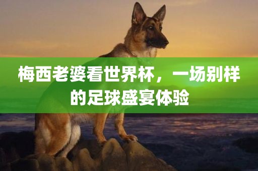梅西老婆看世界杯，一场别样的足球盛宴体验