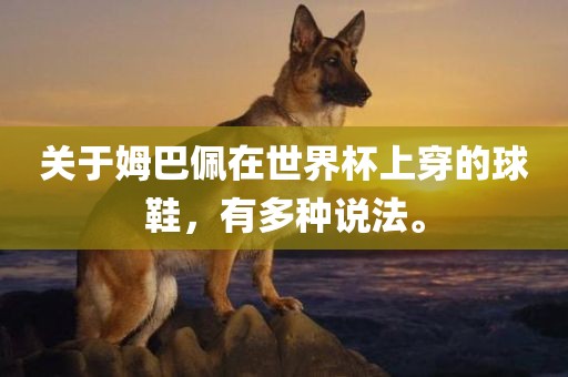 关于姆巴佩在世界杯上穿的球鞋，有多种说法。